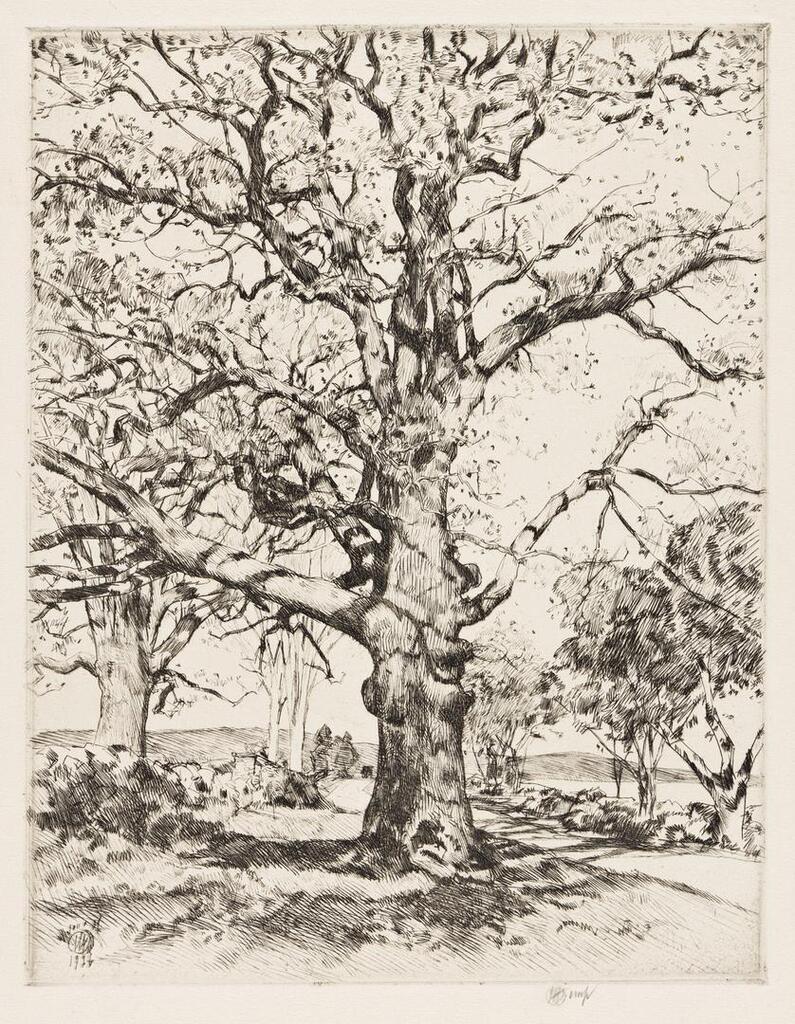 Wayside Inn—Oaks in Spring