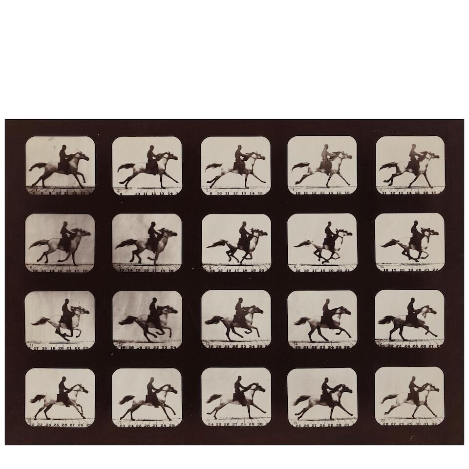Horse Running (from 'Attitudes of Animals in Motion')