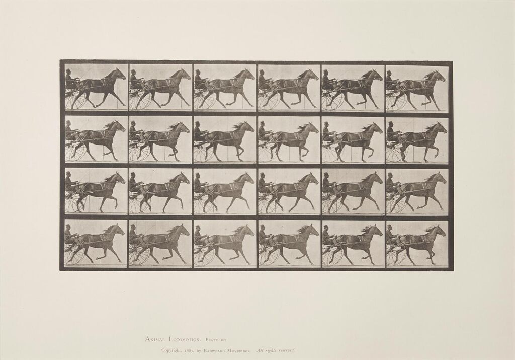 Animal Locomotion, Plate 607, Trotting