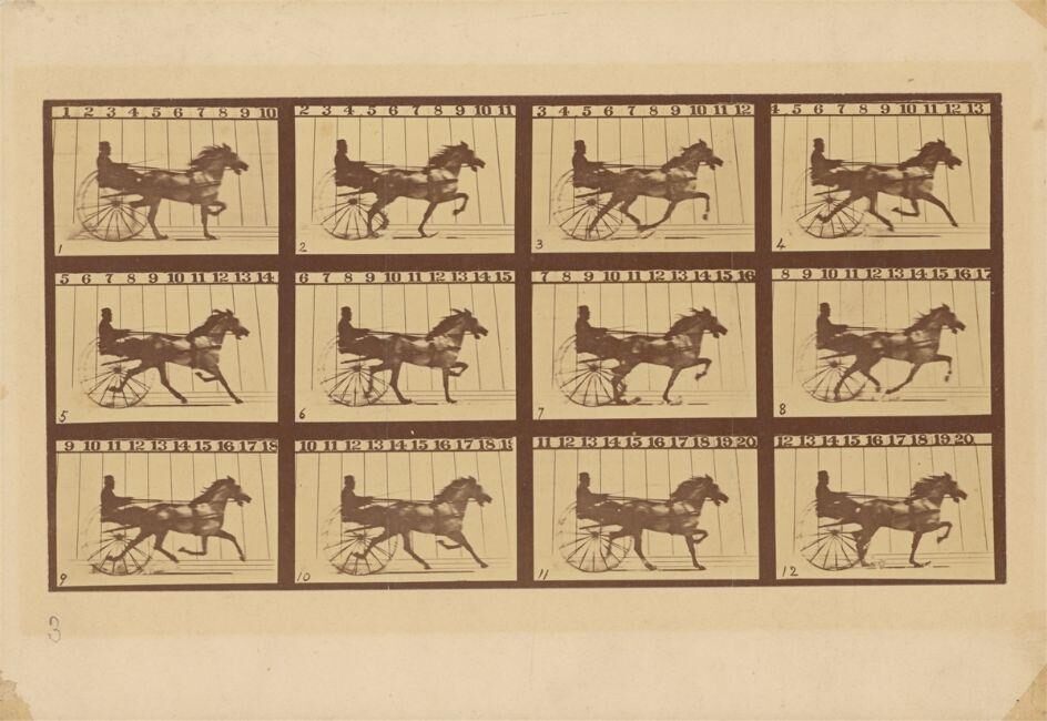 'Abe Edgington' Trotting at a 2:24 Gait over the Palo Alto track, 15 June 1878, from the series ”The Horse in Motion”