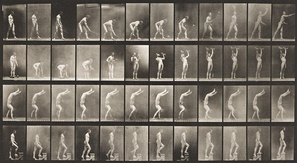 A selection of 4 plates from the pioneering motion study series Animal Locomotion