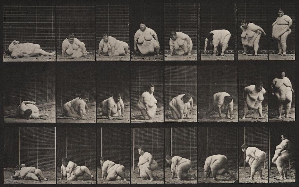 Plate 268 from "Animal Locomotion"