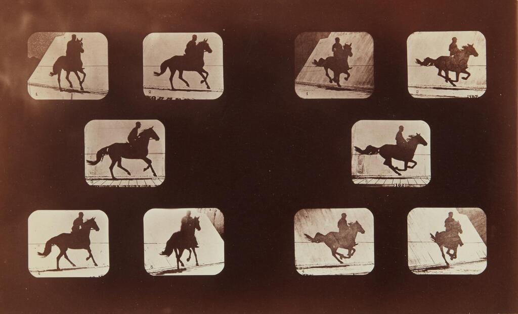 Running Horse and Rider (plates 159-160 from The Attitudes of Animals in Motion), 1878-79