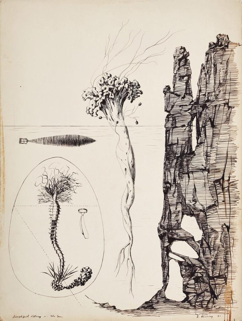 Simplified Botany - The Sea