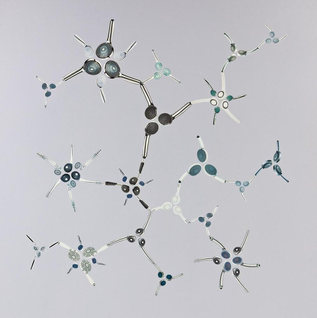 Bauhaus Showerheads #1 (Hardware Store Collage #37)