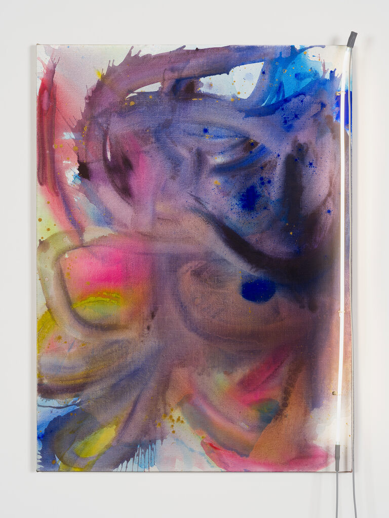 Butterflies and Moths