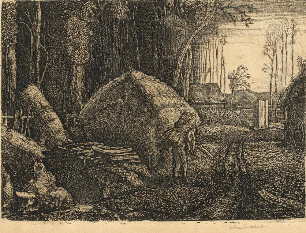 Pecken Wood (Tassi 21)