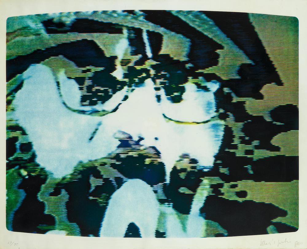 Allen's Face: A Doubled Sided Face