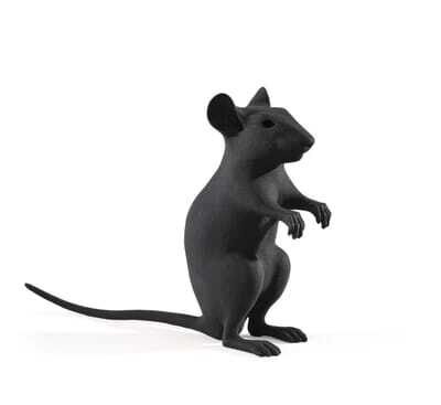 “Hohle Maus (Hollow Mouse)”