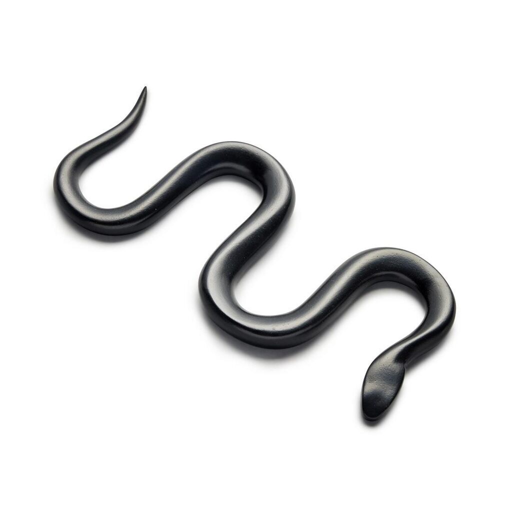 Schalnge/Snake