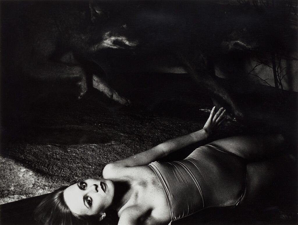 Untitled, New York Fashion (NF. 465)