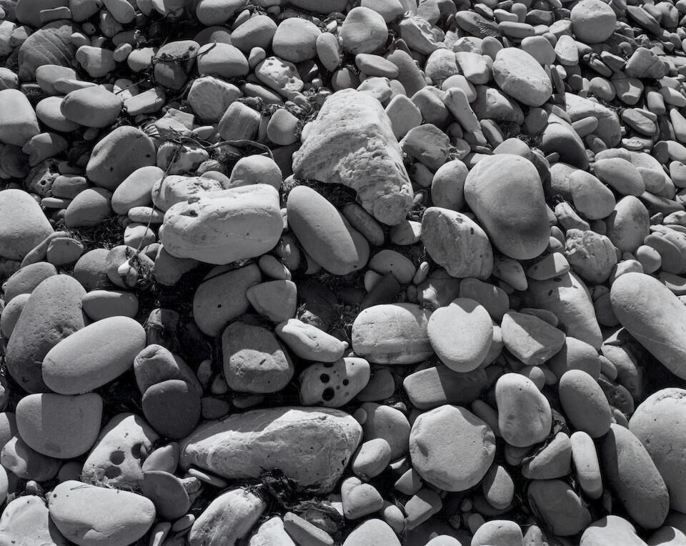 Elwood Beach 25, 2007