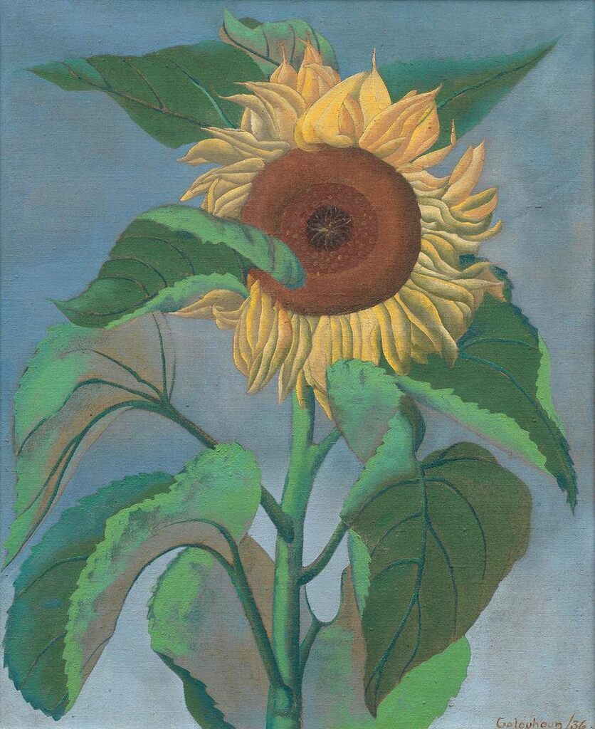 Sunflower
