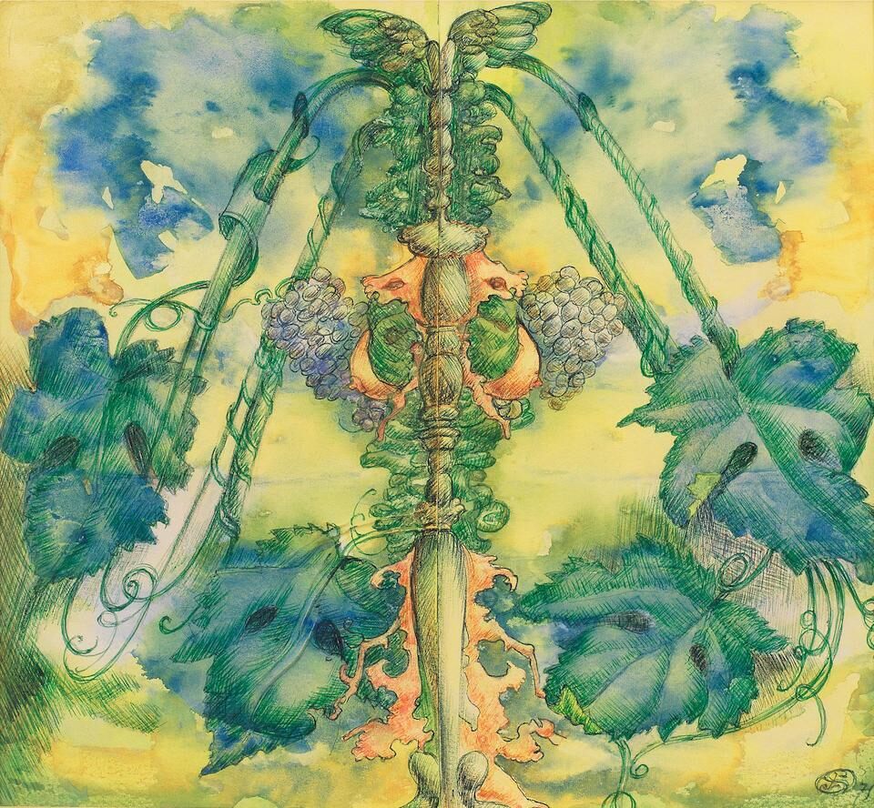 Dryad: Vine