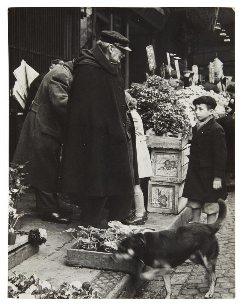 Flower Market, Paris