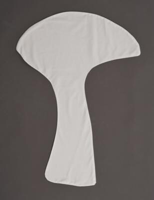 Untitled (Wandpilz)