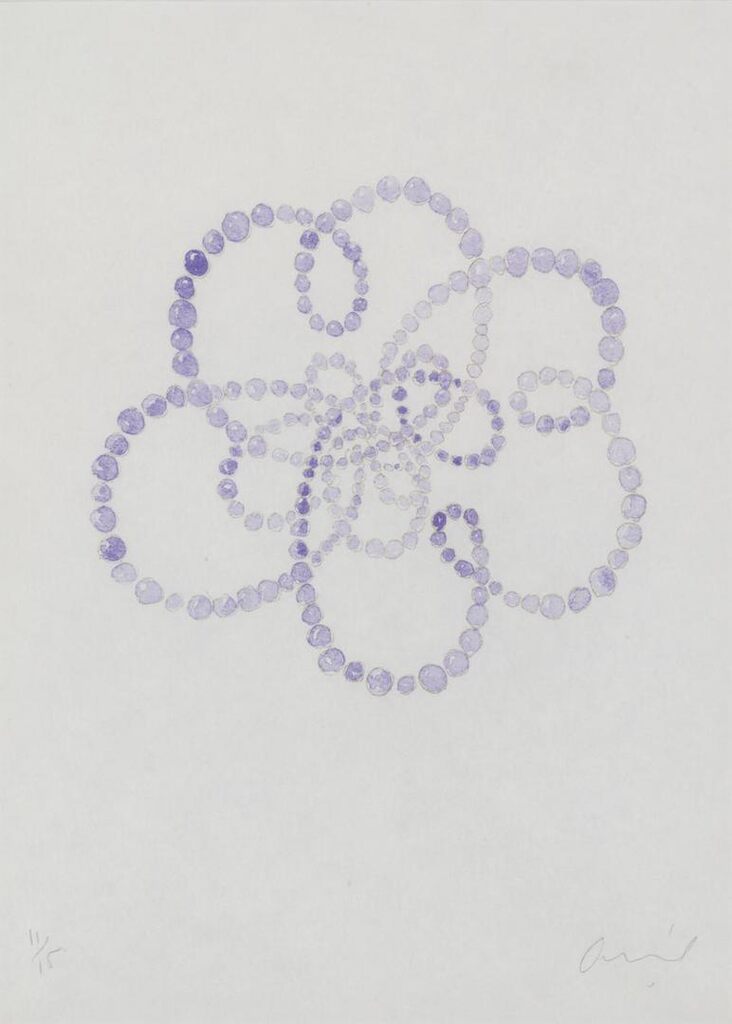 Kiku Violet