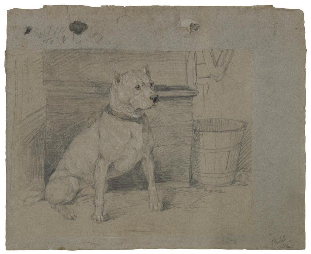 Study of 'Brutus'
