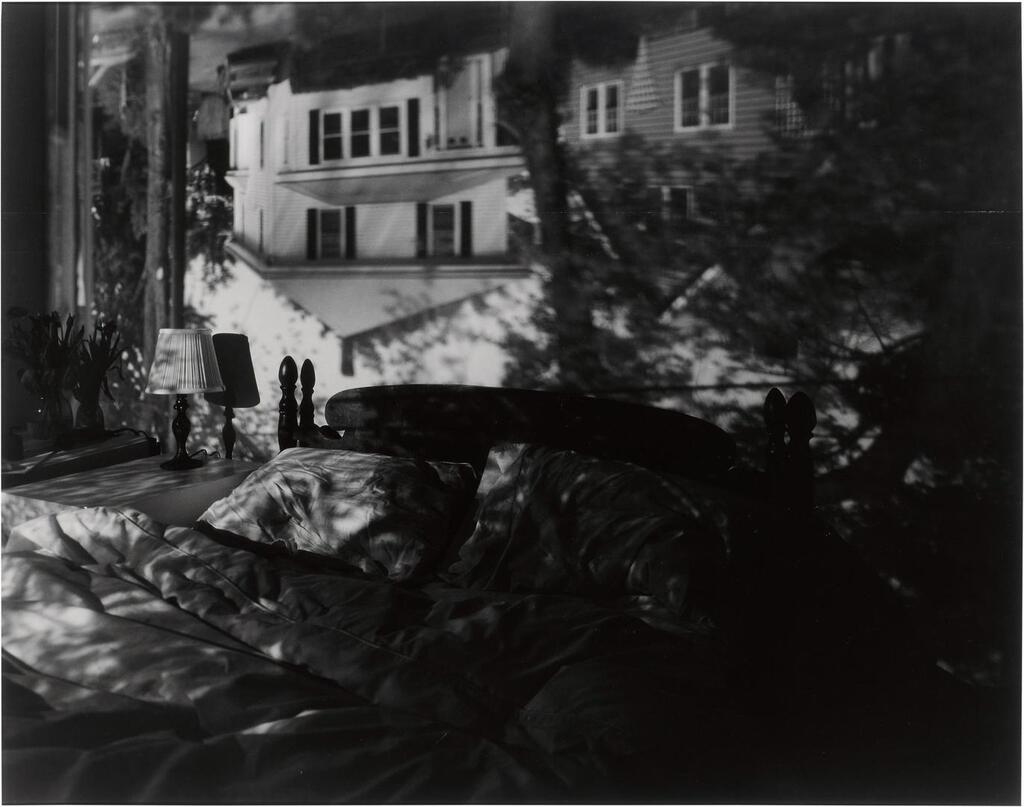 'Camera Obscura Image of Houses Across the Street in Our Bedroom'