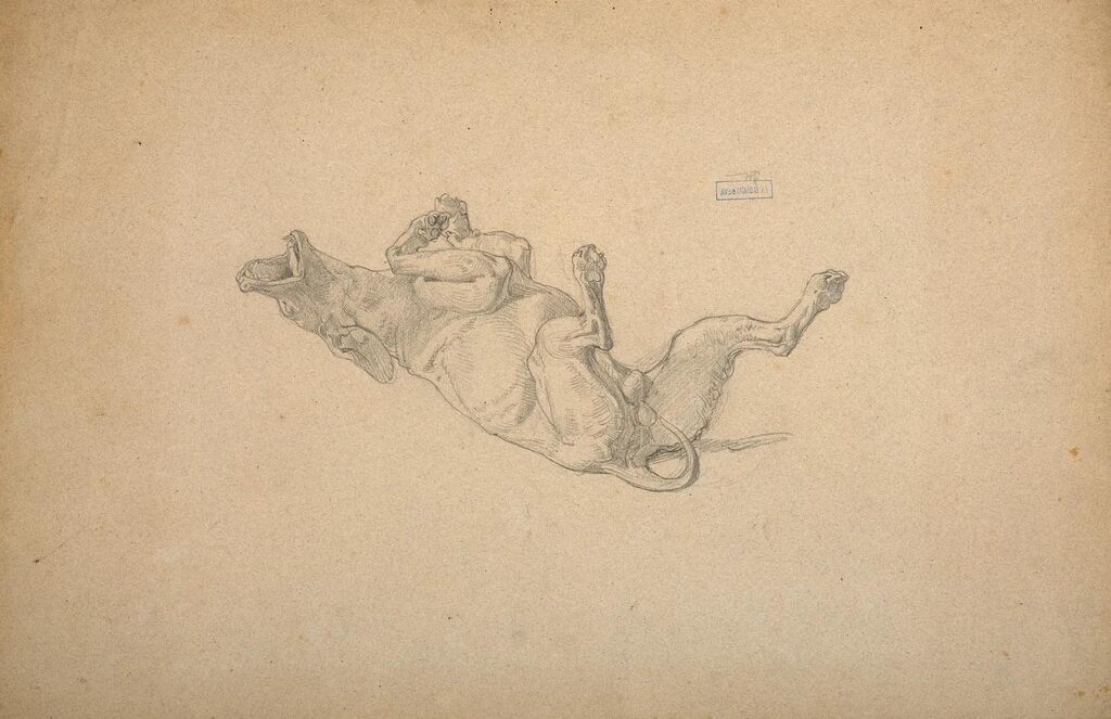 Academy of a Seated Male Nude