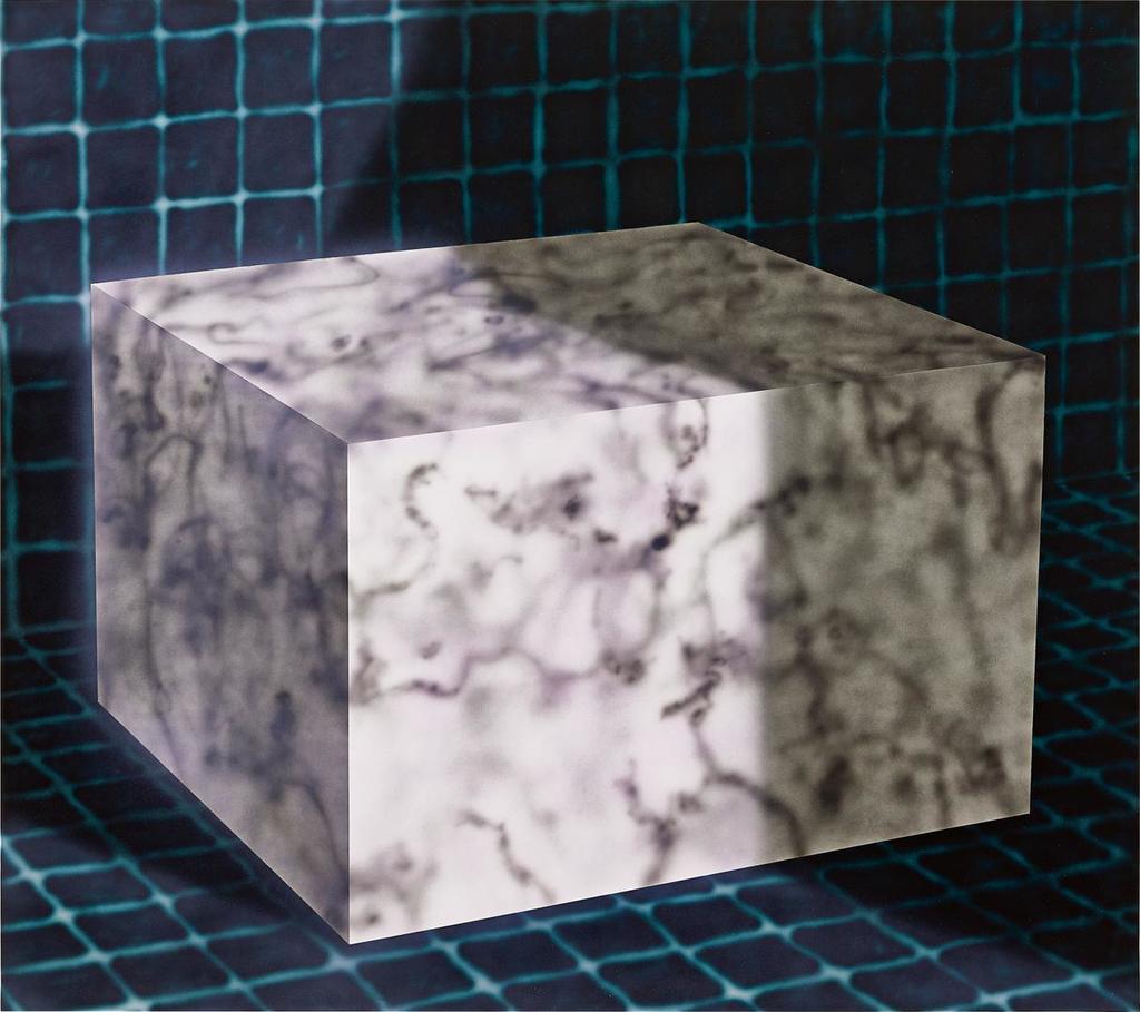 Avery Singer, Untitled (Cube) 無題（立方體）