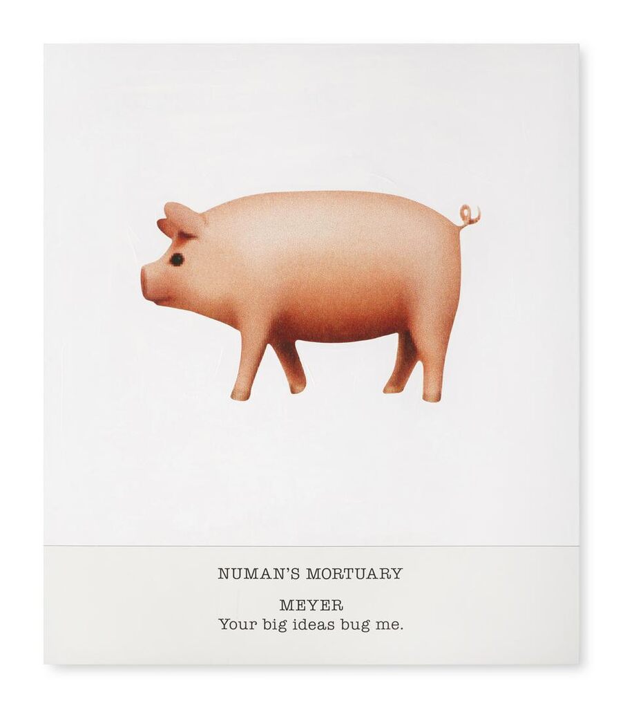 NUMAN'S MORTUARY MEYER Your big ideas bug me.