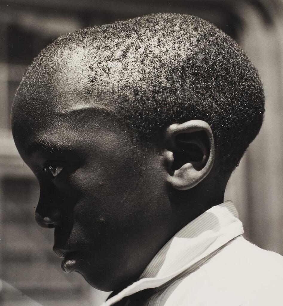 Harlem Document