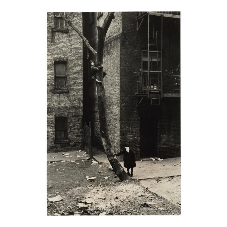 Untitled (Two Boys in Masks, One Climbing Tree)