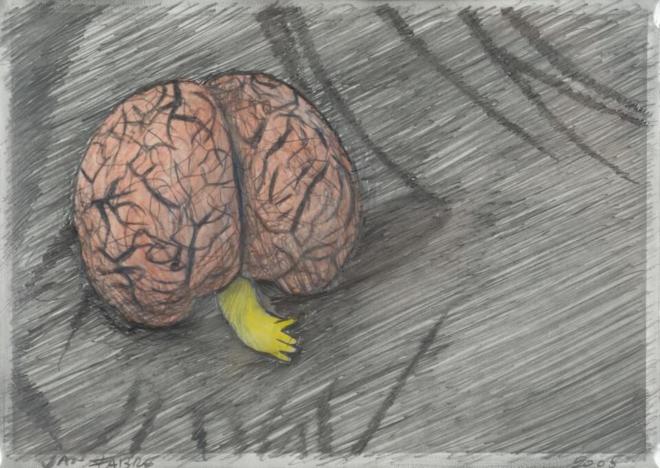 A Walnut with Extension