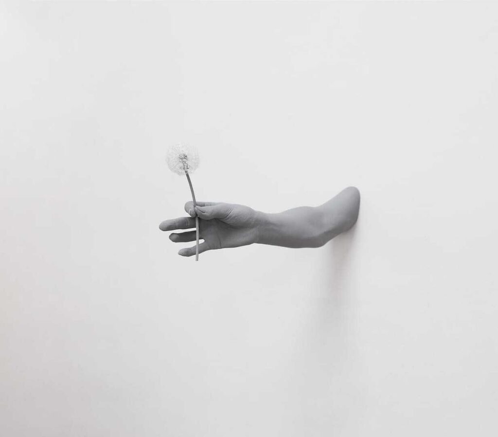 Gesture (Dandelion clock)