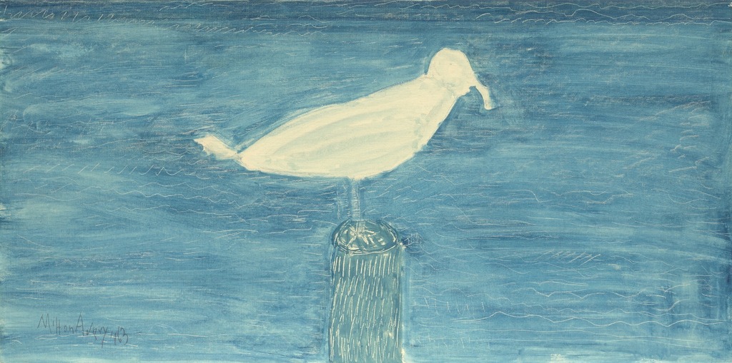 White Gull Resting