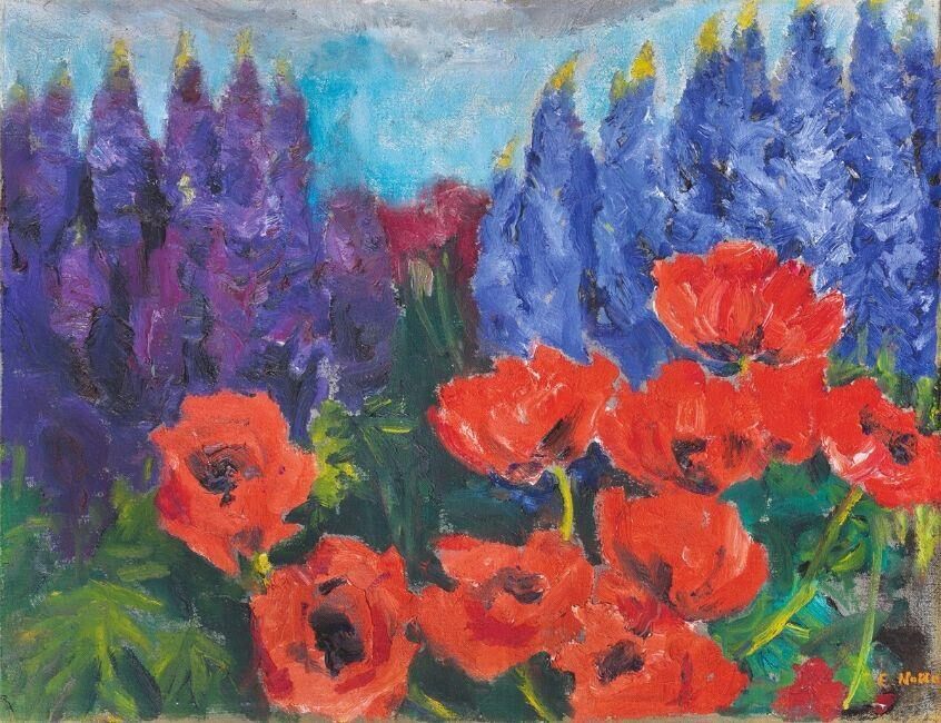”Mohn und blaue Lupinen”