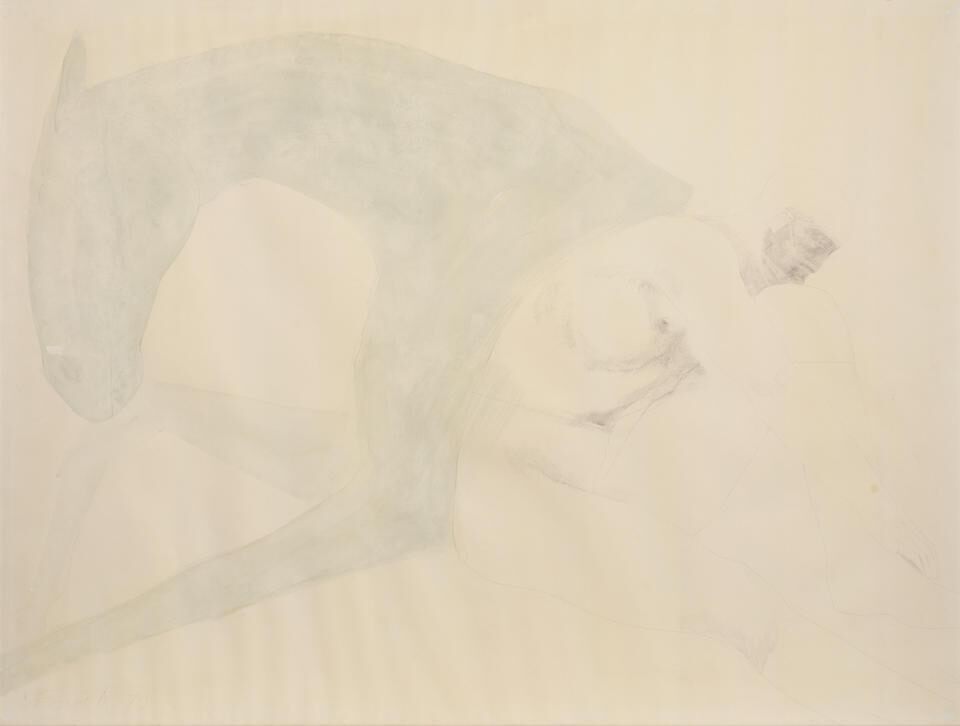 Horse and seated rider