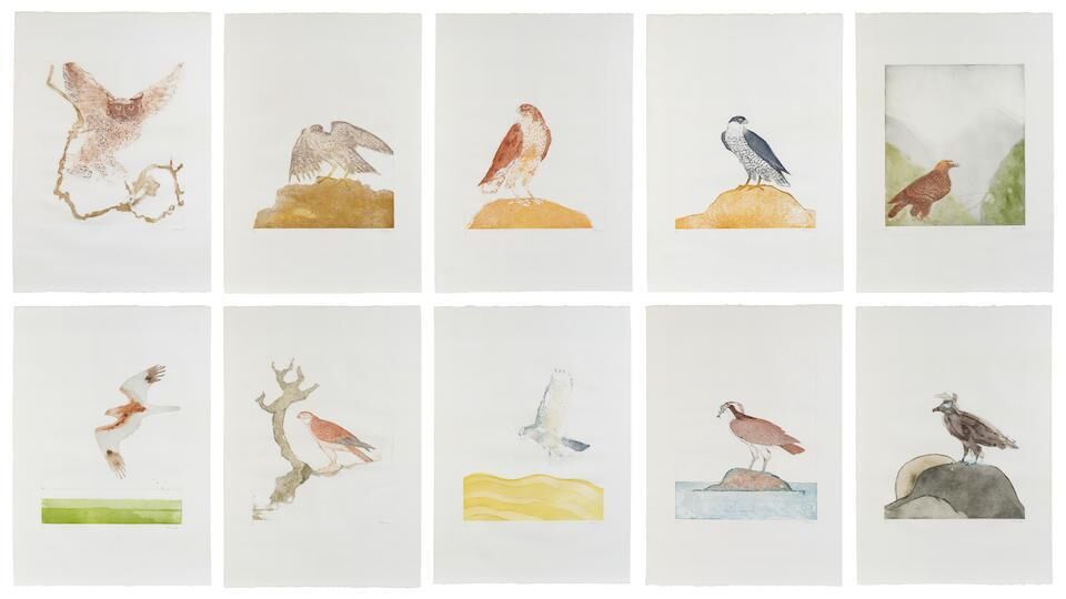Birds of Prey (Wiseman 106-115)