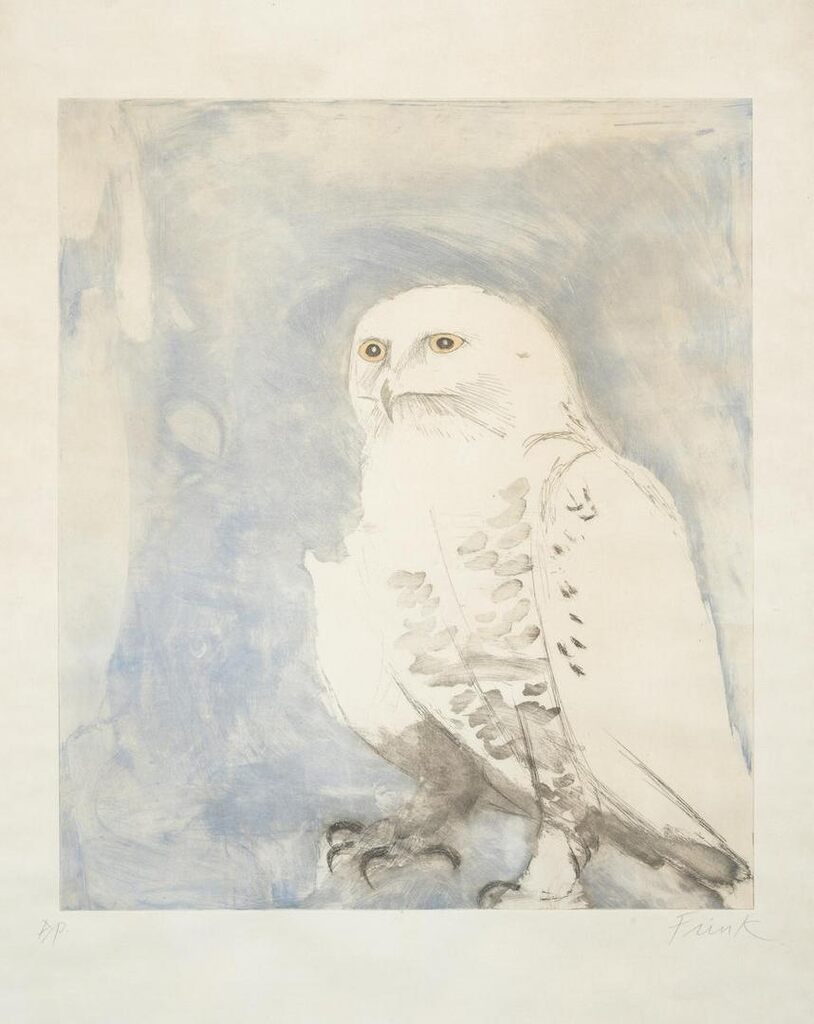 Snowy Owl; Young Barn Owl, from Six Owls (Wiseman 116, 120)