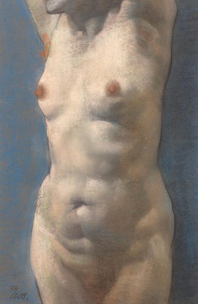 Nude Torso