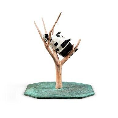 Une vache dans un arbre