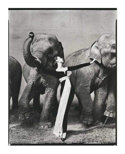 Dovima with Elephants, Evening Dress by Dior, Cirque d'Hiver, Paris, 1955