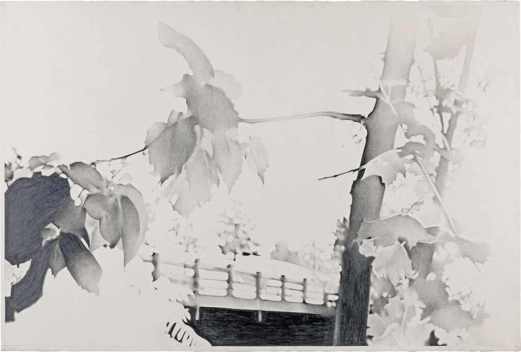 Ithaca Suicide Drawing