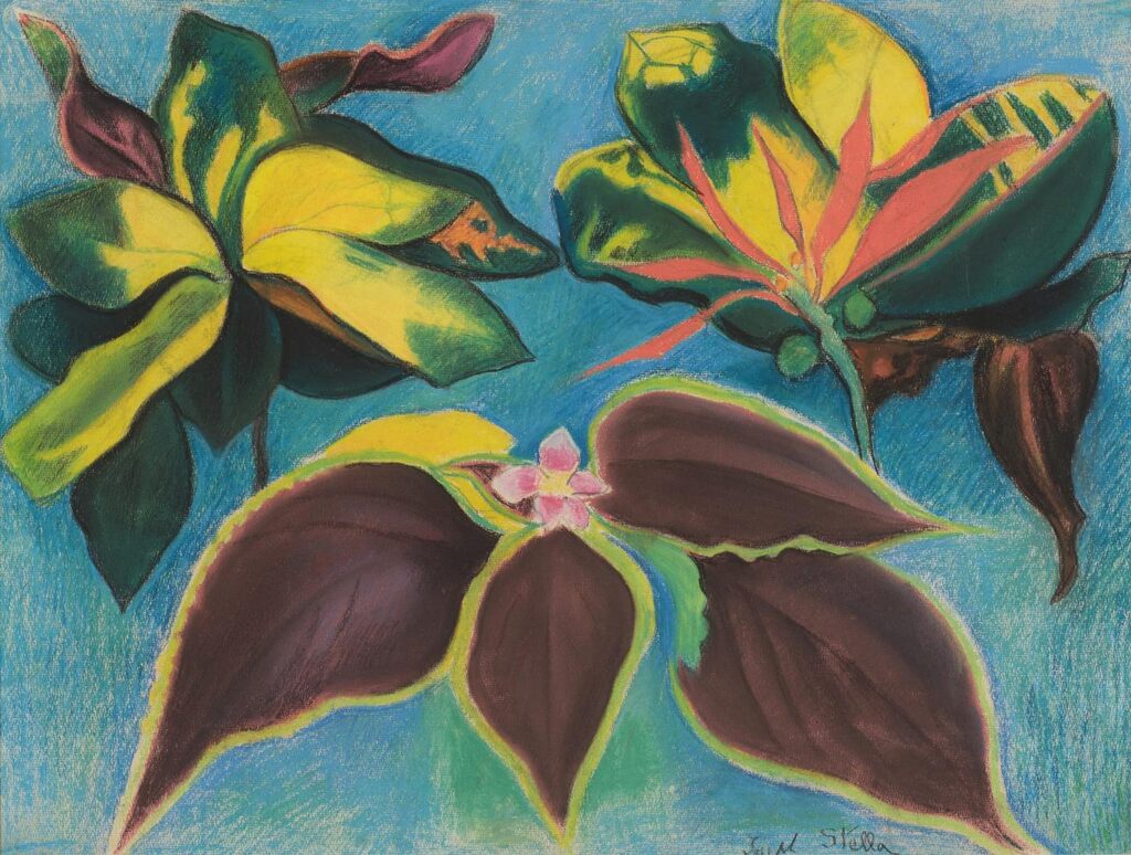 Tropical Flowers