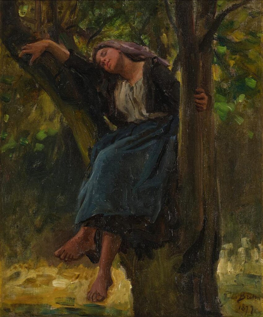 Asleep in the Woods