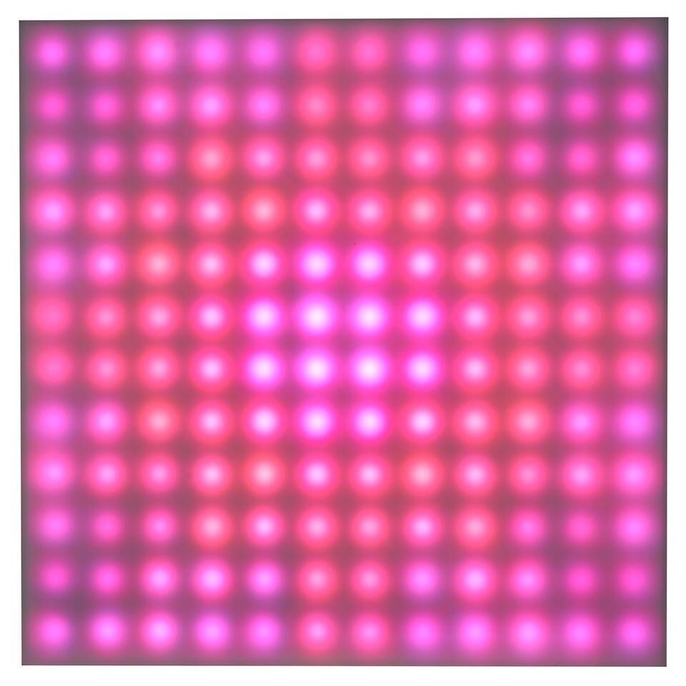 Particle Playground