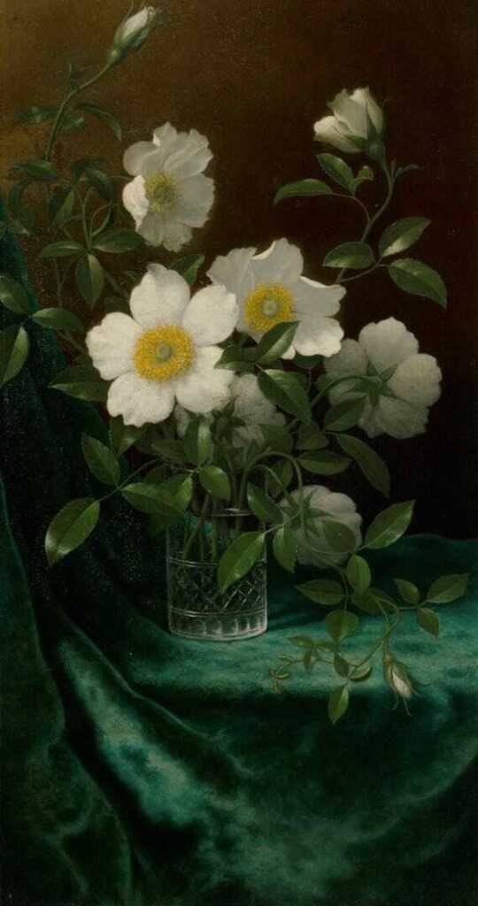 Cherokee Roses on Blue Velvet