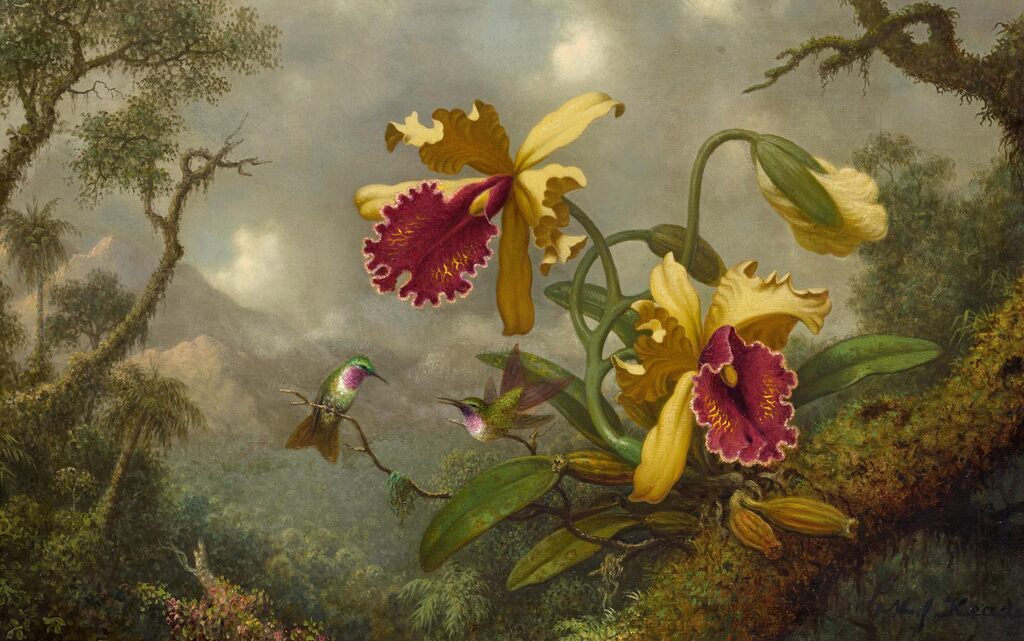 Hummingbirds and Gold and Purple Orchids