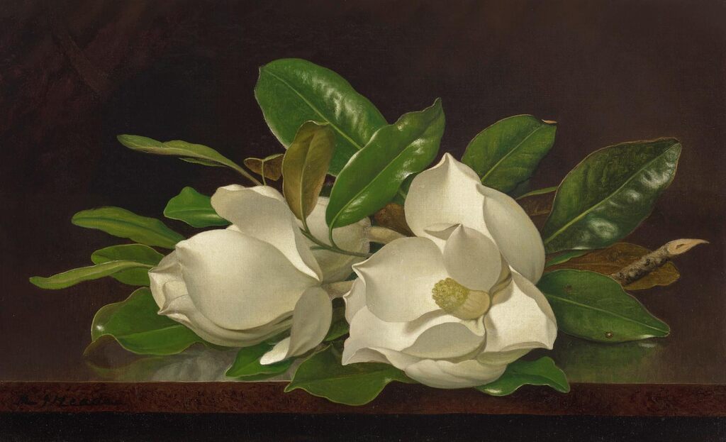 Magnolias on a Shiny Table