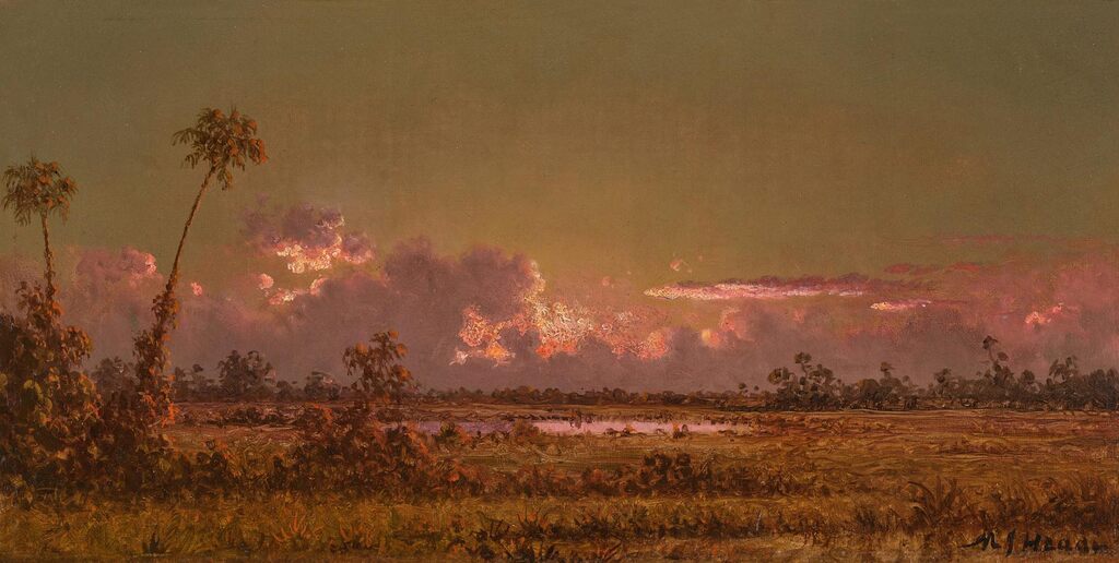 Florida Marsh: Dawn