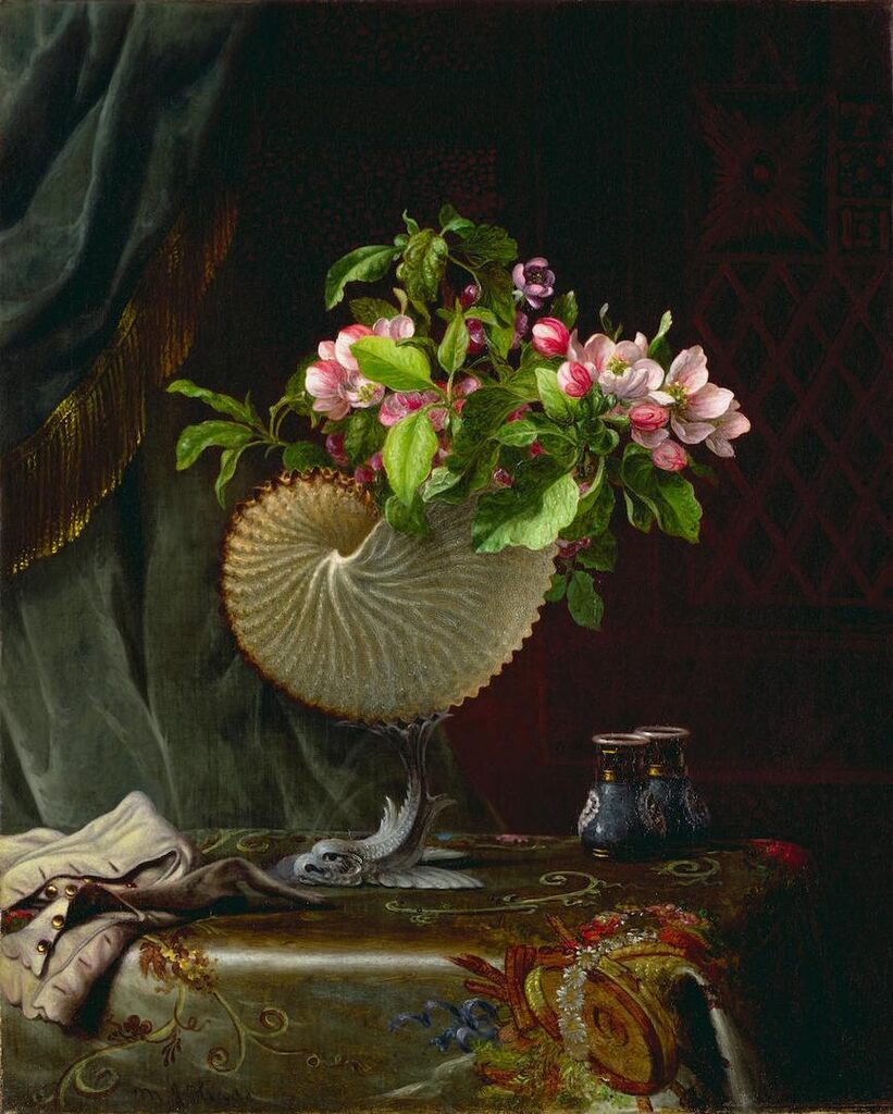 Apple Blossoms in a Nautilus Shell Vase