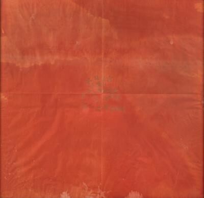 TSOTF (The Sacrifice Of The Flower)