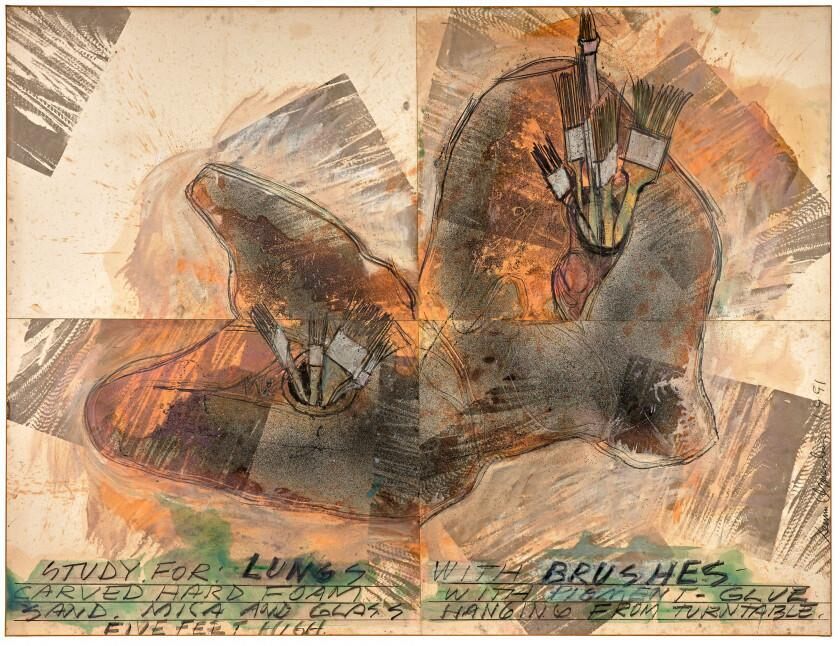 Study for lungs with brushes