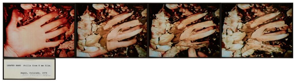 Leafed Hand, 1970